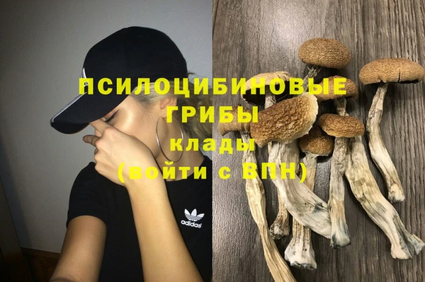 круглые Белокуриха